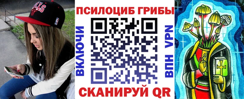 Купить где  Спасск  Галлюциногенные грибы Psilocybine cubensis 